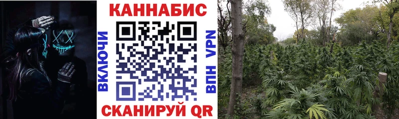 Купить закладку Канабис  COCAIN  Меф мяу мяу  Заринск