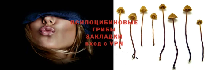 метадон Лихославль